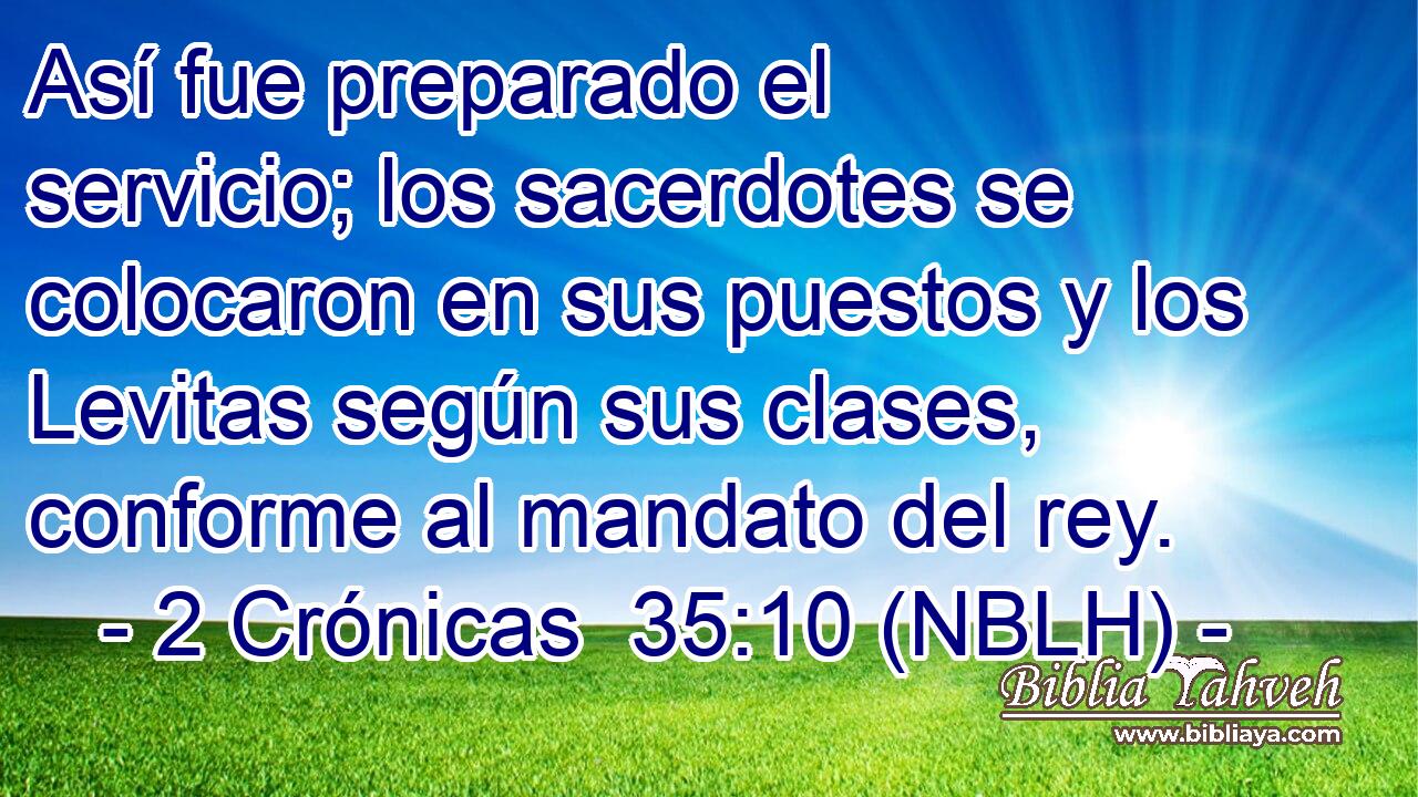  Así fue preparado el servicio; los sacerdotes se colocaron en sus puestos y los Levitas según sus clases, conforme al mandato del rey. 