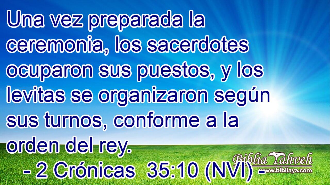  Una vez preparada la ceremonia, los sacerdotes ocuparon sus puestos, y los levitas se organizaron según sus turnos, conforme a la orden del rey. 