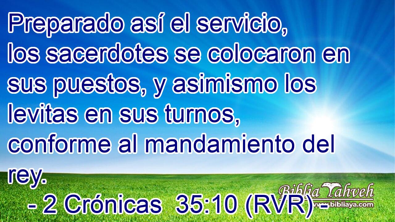 Preparado así el servicio, los sacerdotes se colocaron en sus puestos, y asimismo los levitas en sus turnos, conforme al mandamiento del rey.