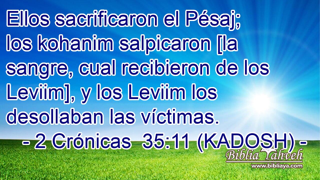  Ellos sacrificaron el Pésaj; los kohanim salpicaron [la sangre, cual recibieron de los Leviim], y los Leviim los desollaban las víctimas. 