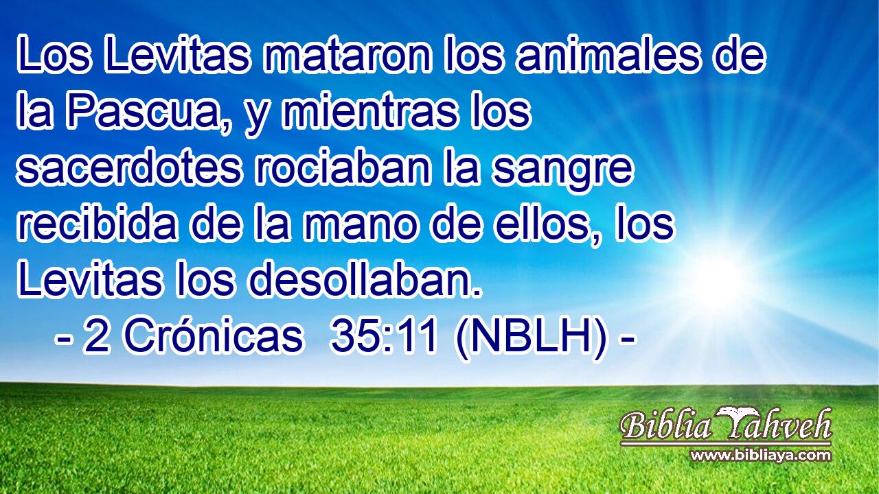  Los Levitas mataron los animales de la Pascua, y mientras los sacerdotes rociaban la sangre recibida de la mano de ellos, los Levitas los desollaban. 