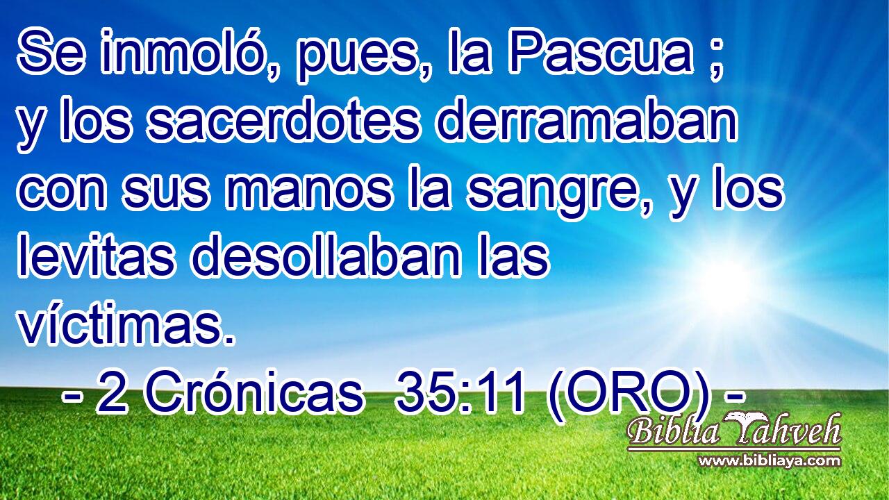  Se inmoló, pues, la Pascua ; y los sacerdotes derramaban con sus manos la sangre, y los levitas desollaban las víctimas. 