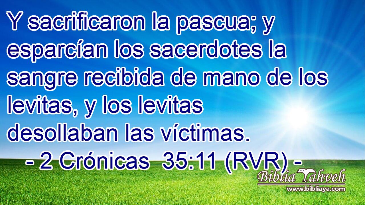 Y sacrificaron la pascua; y esparcían los sacerdotes la sangre recibida de mano de los levitas, y los levitas desollaban las víctimas.