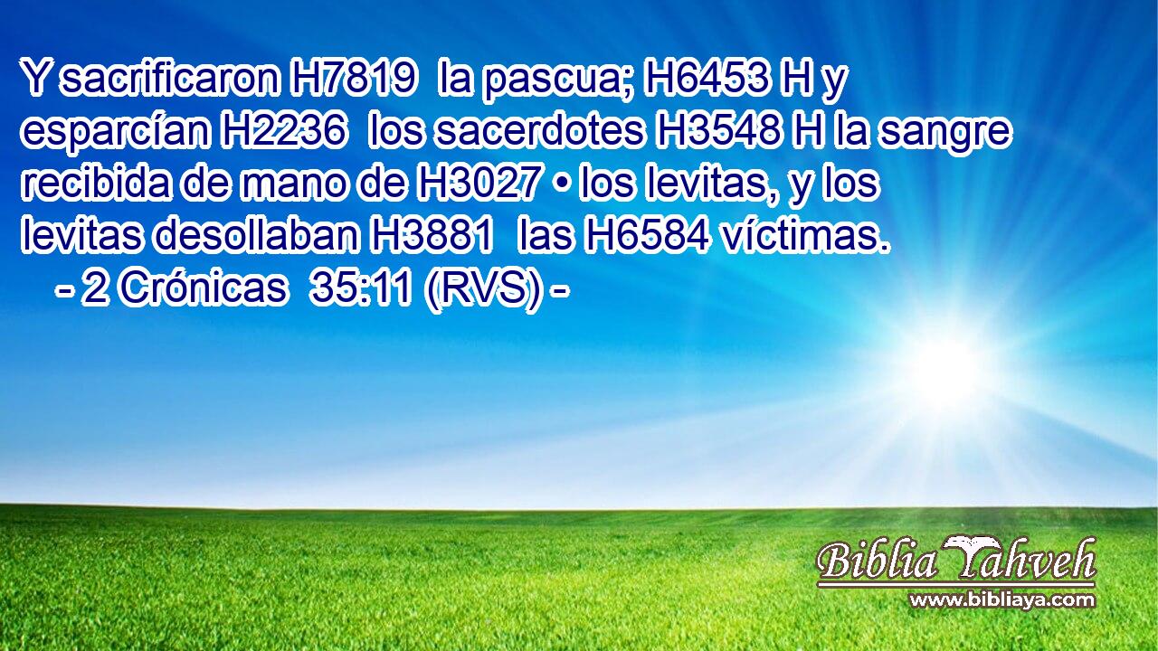 Y sacrificaron H7819  la pascua; H6453 H y esparcían H2236  los sacerdotes H3548 H la sangre recibida de mano de H3027 • los levitas, y los levitas desollaban H3881  las H6584 víctimas. 