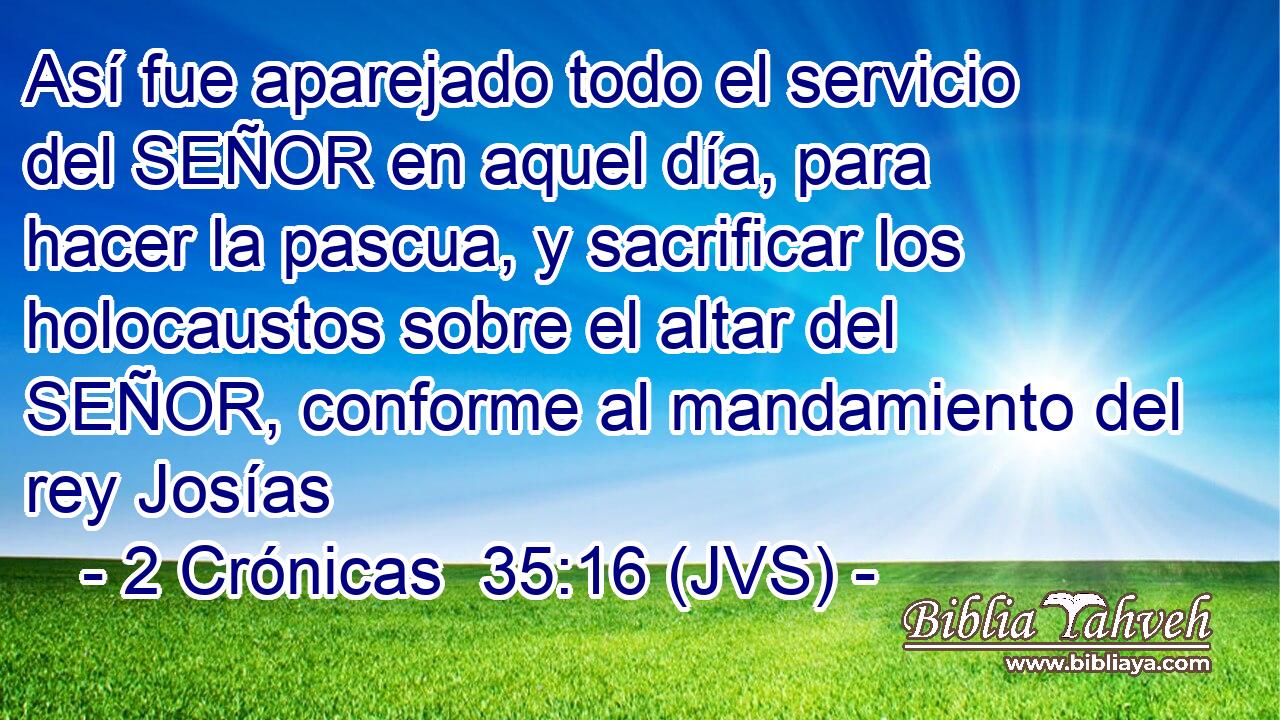 Así fue aparejado todo el servicio del SEÑOR en aquel día, para hacer la pascua, y sacrificar los holocaustos sobre el altar del SEÑOR, conforme al mandamiento del rey Josías