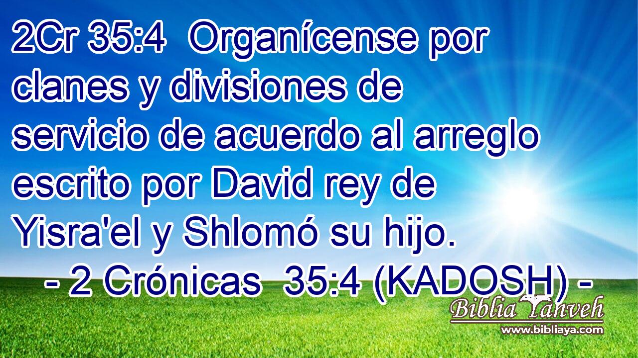  Organícense por clanes y divisiones de servicio de acuerdo al arreglo escrito por David rey de Yisra'el y Shlomó su hijo. 