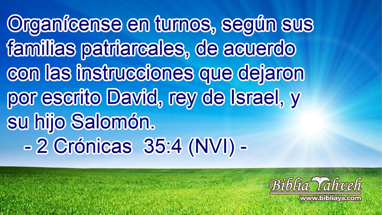  Organícense en turnos, según sus familias patriarcales, de acuerdo con las instrucciones que dejaron por escrito David, rey de Israel, y su hijo Salomón. 