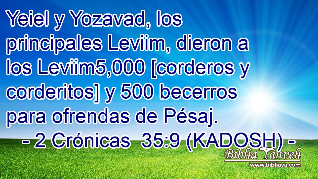  Yeiel y Yozavad, los principales Leviim, dieron a los Leviim5,000 [corderos y corderitos] y 500 becerros para ofrendas de Pésaj. 