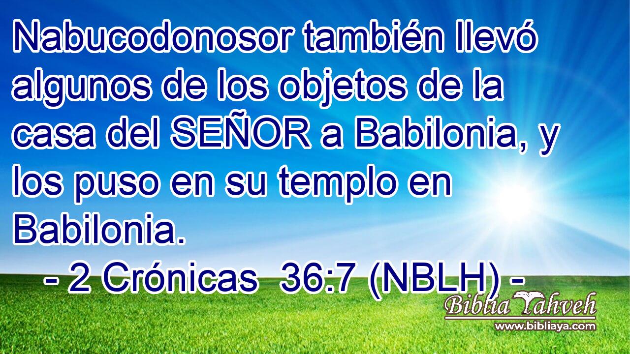  Nabucodonosor también llevó algunos de los objetos de la casa del SEÑOR a Babilonia, y los puso en su templo en Babilonia. 