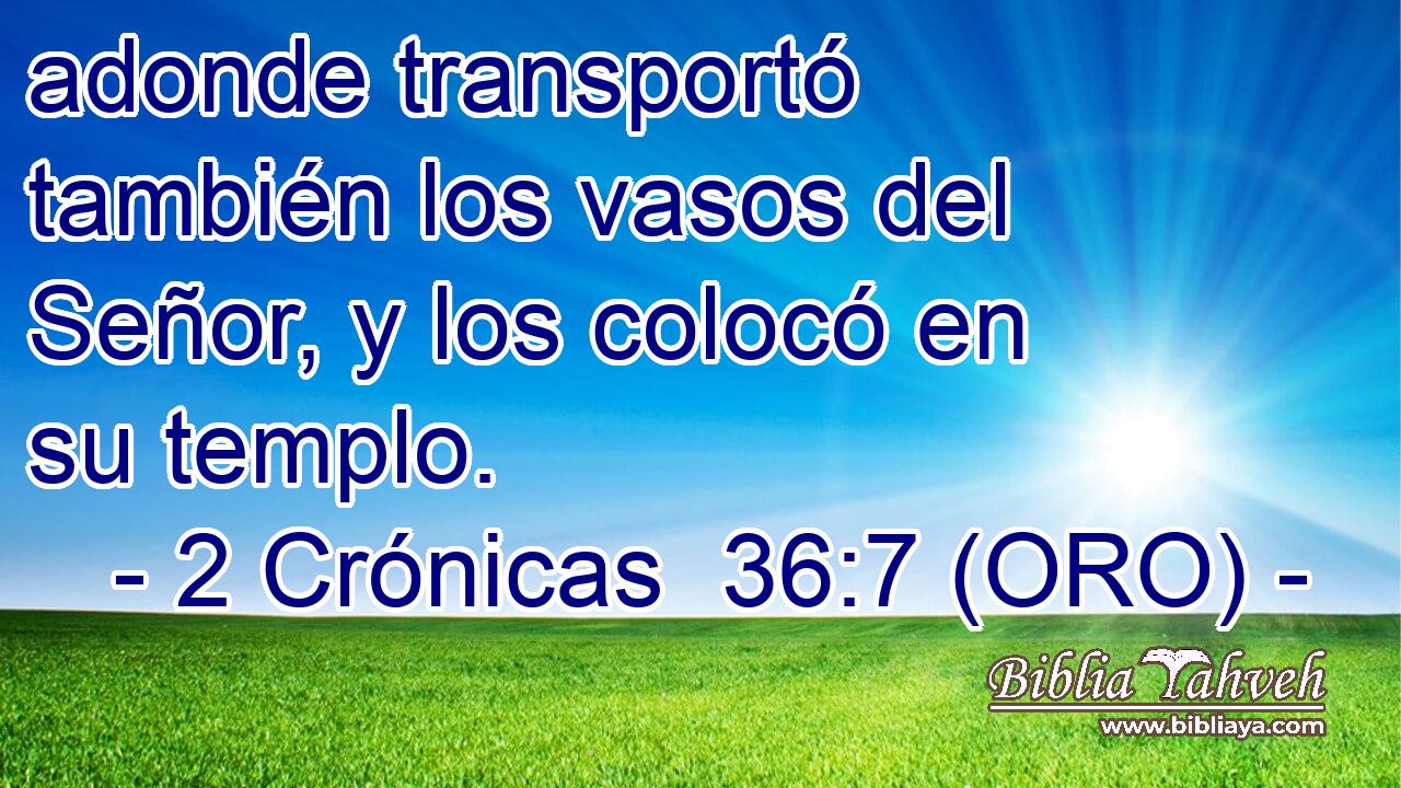  adonde transportó también los vasos del Señor, y los colocó en su templo. 