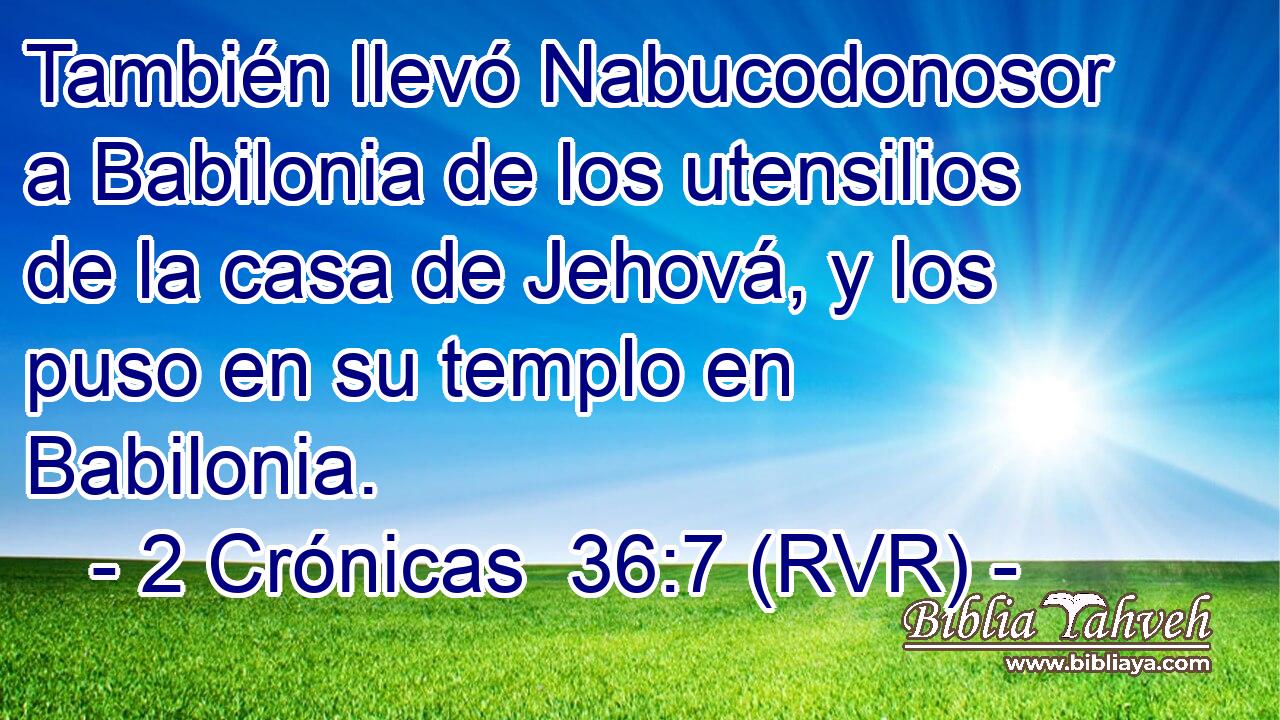 También llevó Nabucodonosor a Babilonia de los utensilios de la casa de Jehová, y los puso en su templo en Babilonia.