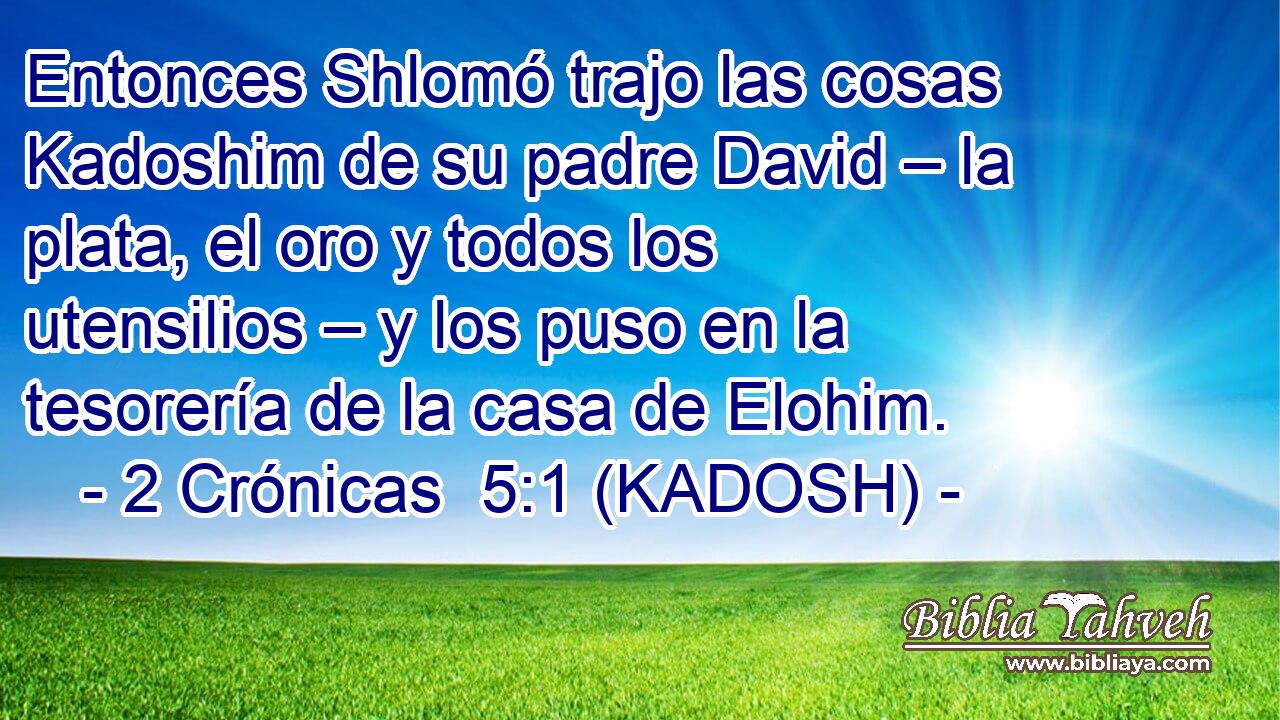  Entonces Shlomó trajo las cosas Kadoshim de su padre David – la plata, el oro y todos los utensilios – y los puso en la tesorería de la casa de Elohim. 