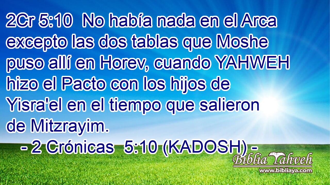  No había nada en el Arca excepto las dos tablas que Moshe puso allí en Horev, cuando YAHWEH hizo el Pacto con los hijos de Yisra'el en el tiempo que salieron de Mitzrayim. 