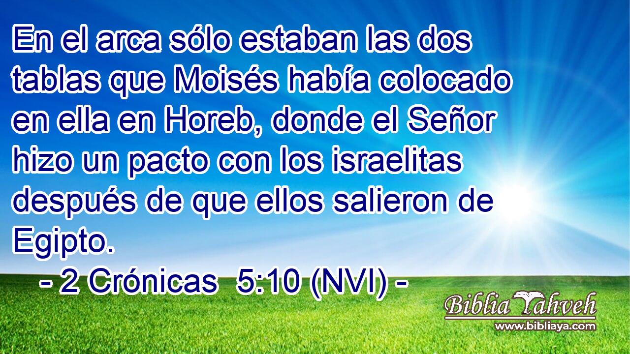  En el arca sólo estaban las dos tablas que Moisés había colocado en ella en Horeb, donde el Señor hizo un pacto con los israelitas después de que ellos salieron de Egipto. 