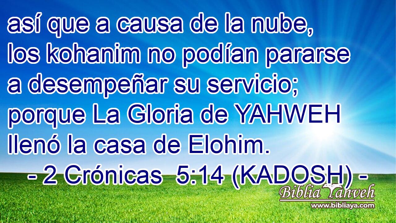  así que a causa de la nube, los kohanim no podían pararse a desempeñar su servicio; porque La Gloria de YAHWEH llenó la casa de Elohim. 