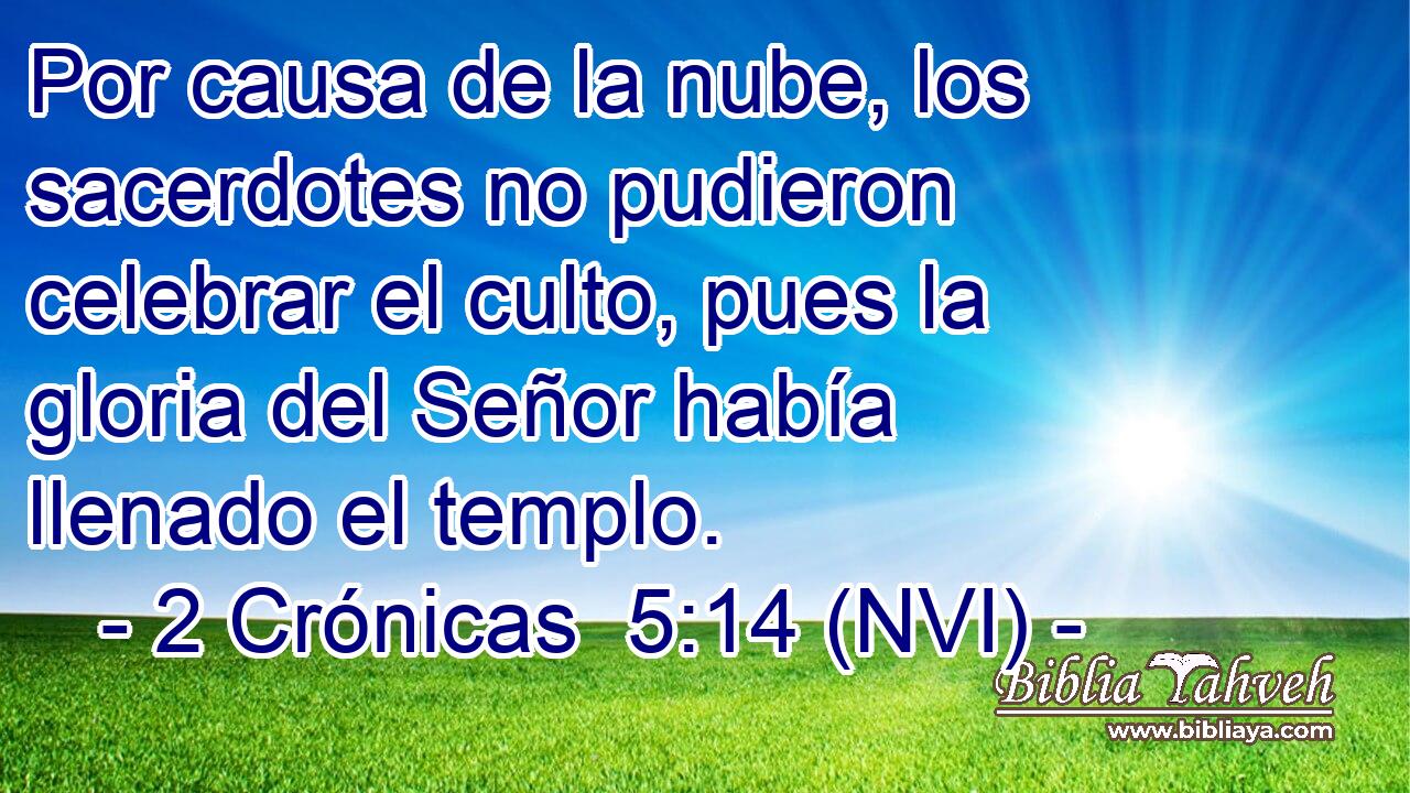  Por causa de la nube, los sacerdotes no pudieron celebrar el culto, pues la gloria del Señor había llenado el templo. 