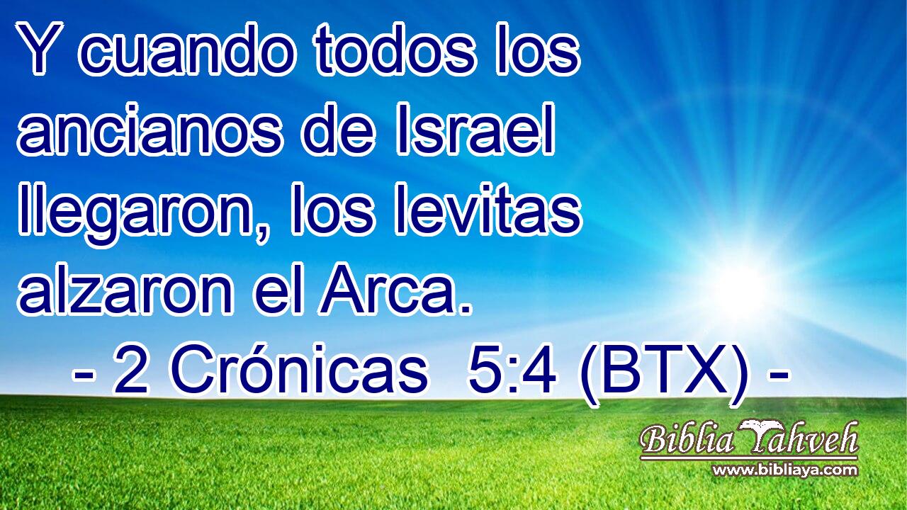 Y cuando todos los ancianos de Israel llegaron, los levitas alzaron el Arca.