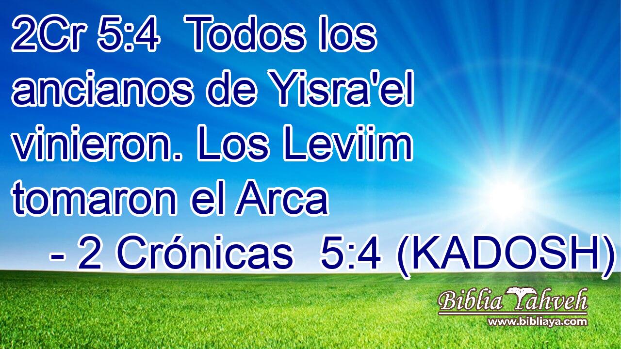  Todos los ancianos de Yisra'el vinieron. Los Leviim tomaron el Arca 