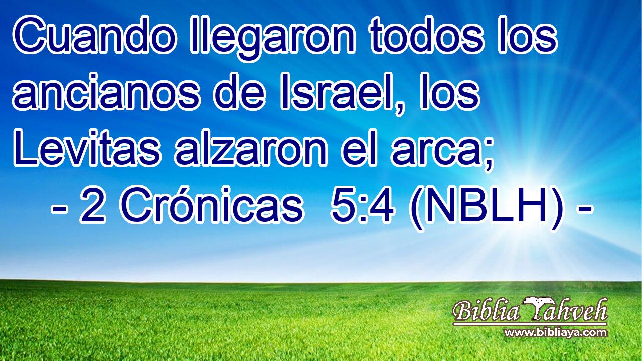  Cuando llegaron todos los ancianos de Israel, los Levitas alzaron el arca; 