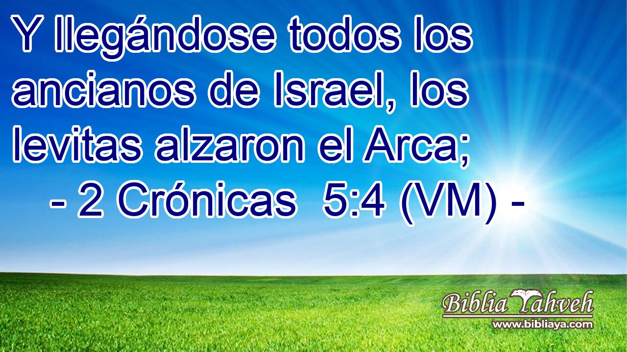  Y llegándose todos los ancianos de Israel, los levitas alzaron el Arca; 