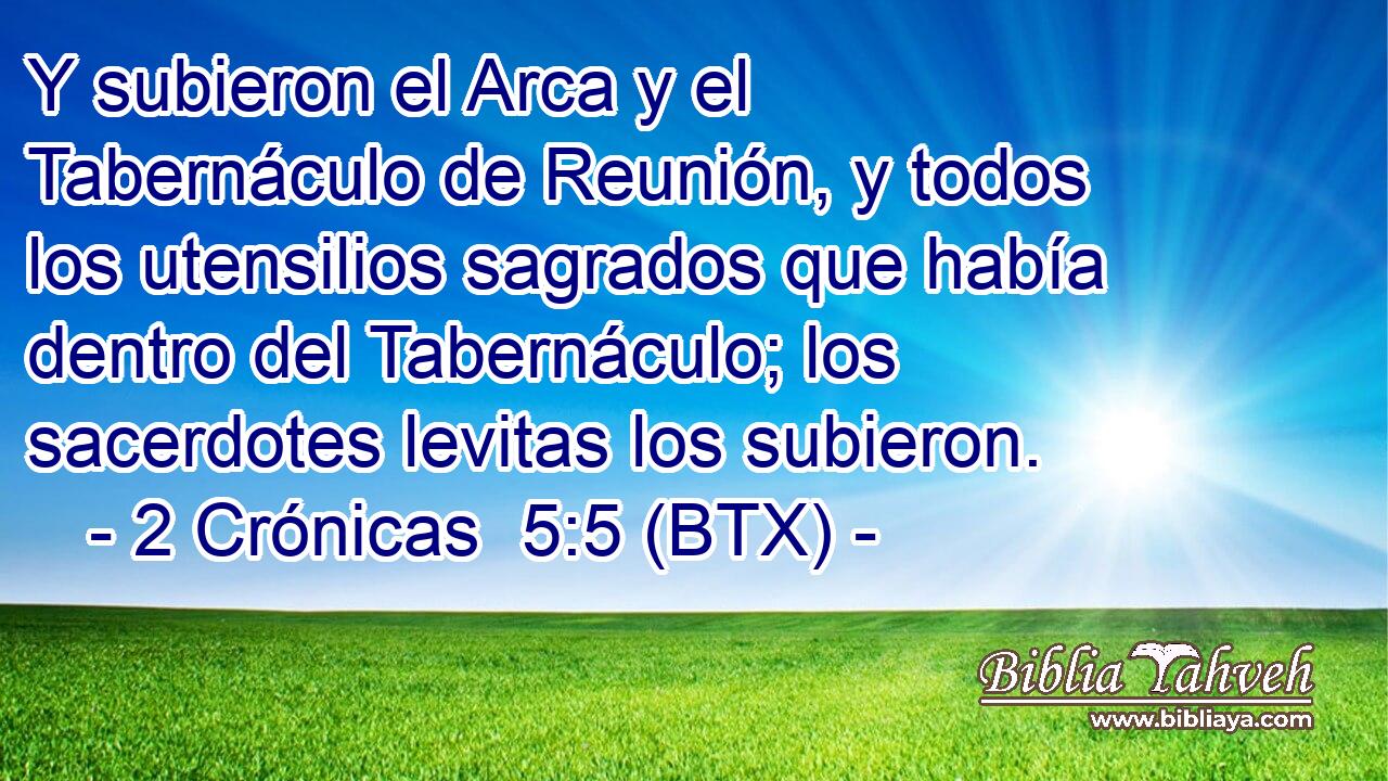 Y subieron el Arca y el Tabernáculo de Reunión, y todos los utensilios sagrados que había dentro del Tabernáculo; los sacerdotes levitas los subieron.