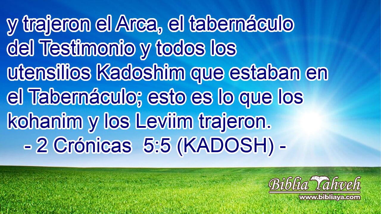  y trajeron el Arca, el tabernáculo del Testimonio y todos los utensilios Kadoshim que estaban en el Tabernáculo; esto es lo que los kohanim y los Leviim trajeron. 