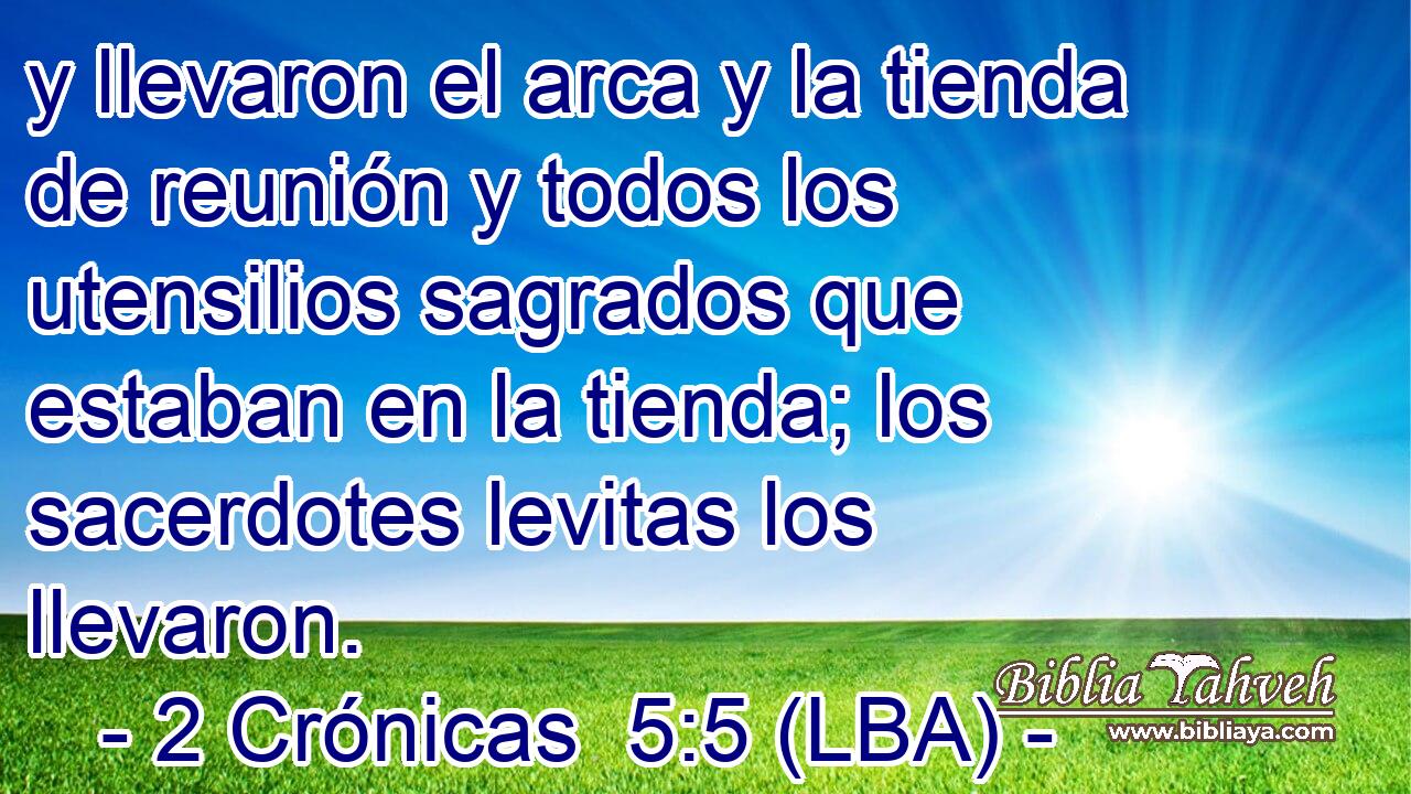 y llevaron el arca y la tienda de reunión y todos los utensilios sagrados que estaban en la tienda; los sacerdotes levitas los llevaron.
