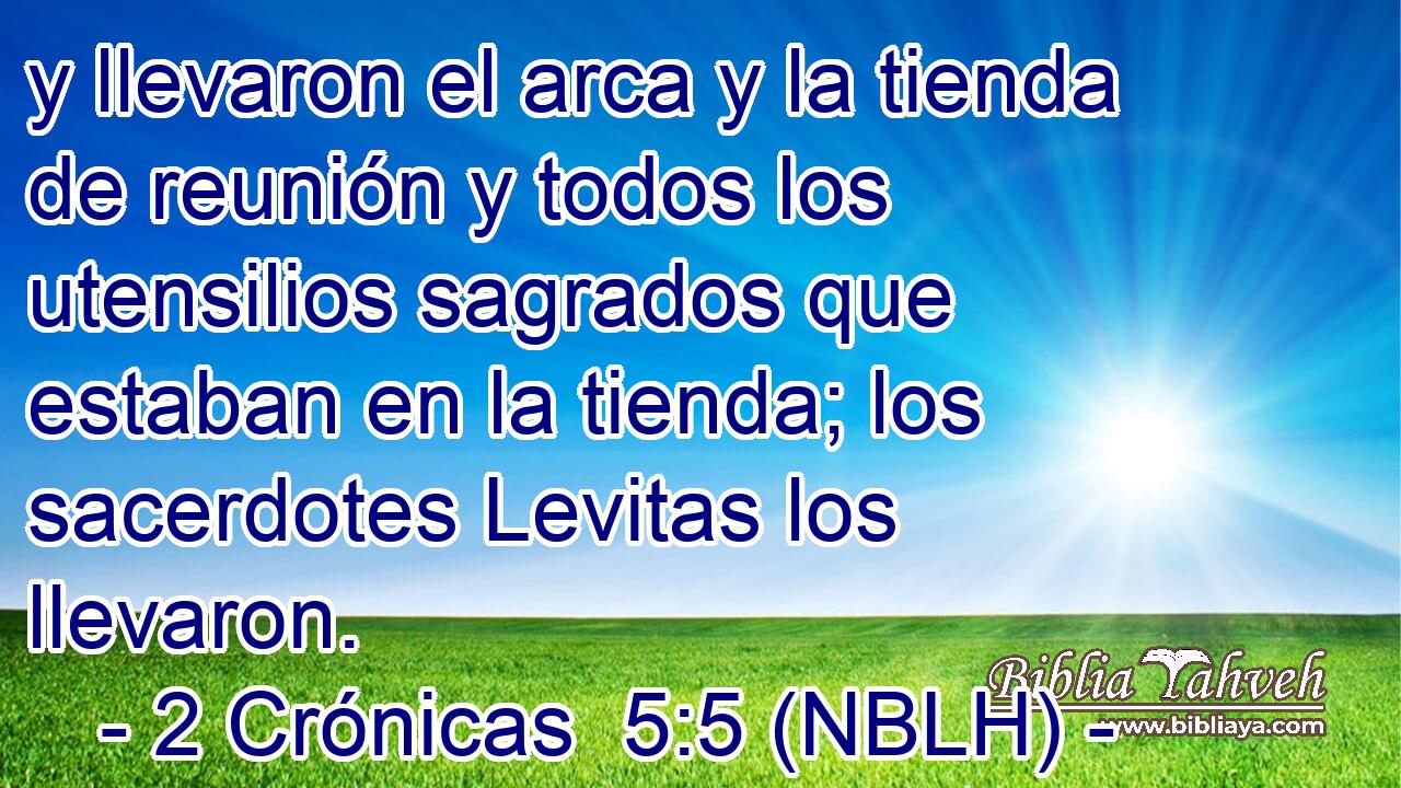  y llevaron el arca y la tienda de reunión y todos los utensilios sagrados que estaban en la tienda; los sacerdotes Levitas los llevaron. 