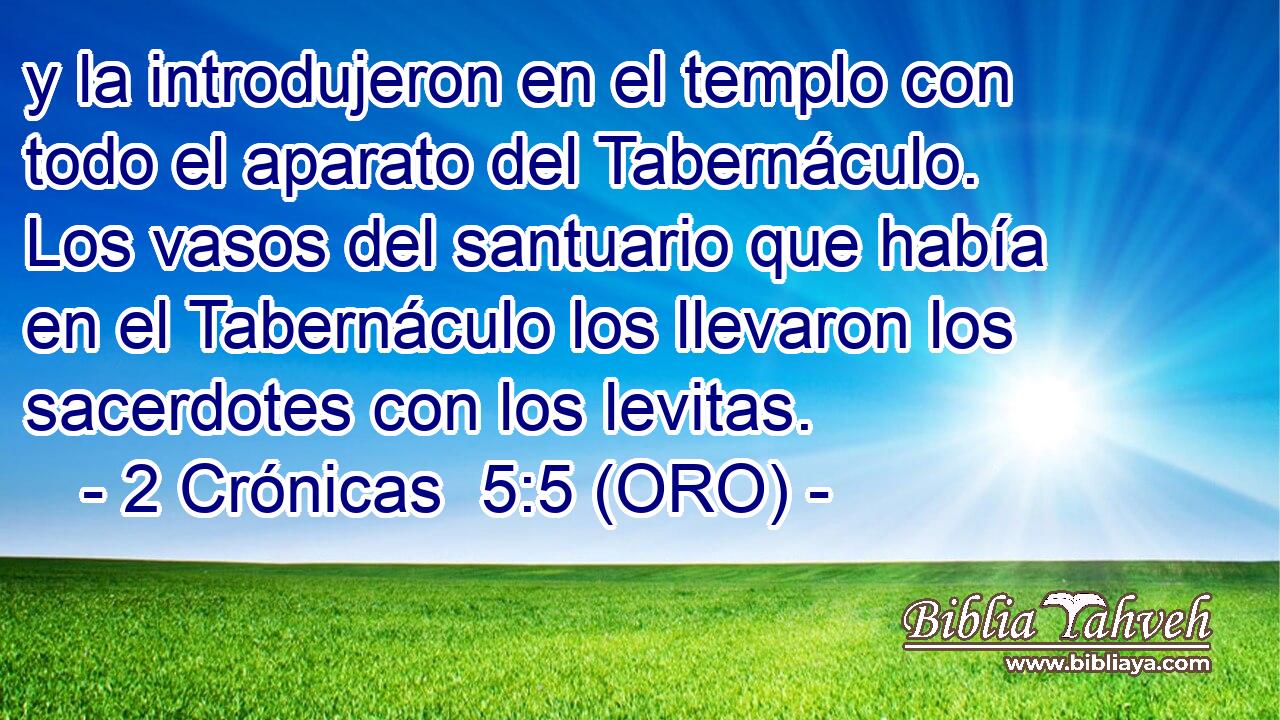  y la introdujeron en el templo con todo el aparato del Tabernáculo. Los vasos del santuario que había en el Tabernáculo los llevaron los sacerdotes con los levitas. 