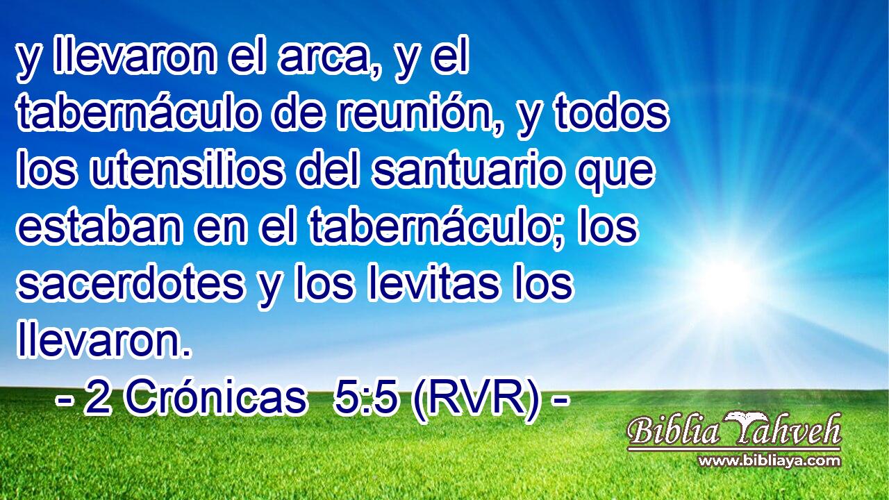 y llevaron el arca, y el tabernáculo de reunión, y todos los utensilios del santuario que estaban en el tabernáculo; los sacerdotes y los levitas los llevaron.