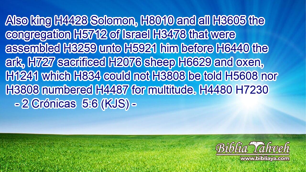 Also king H4428 Solomon, H8010 and all H3605 the congregation H5712 of Israel H3478 that were assembled H3259 unto H5921 him before H6440 the ark, H727 sacrificed H2076 sheep H6629 and oxen, H1241 which H834 could not H3808 be told H5608 nor H3808 numbered H4487 for multitude. H4480 H7230