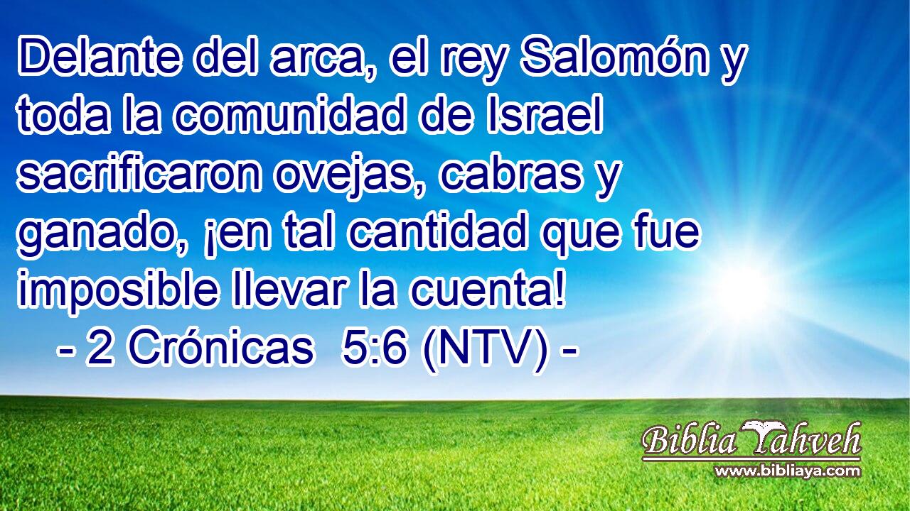 Delante del arca, el rey Salomón y toda la comunidad de Israel sacrificaron ovejas, cabras y ganado, ¡en tal cantidad que fue imposible llevar la cuenta!