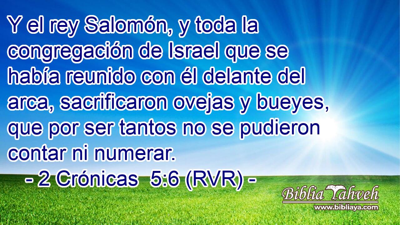 Y el rey Salomón, y toda la congregación de Israel que se había reunido con él delante del arca, sacrificaron ovejas y bueyes, que por ser tantos no se pudieron contar ni numerar.