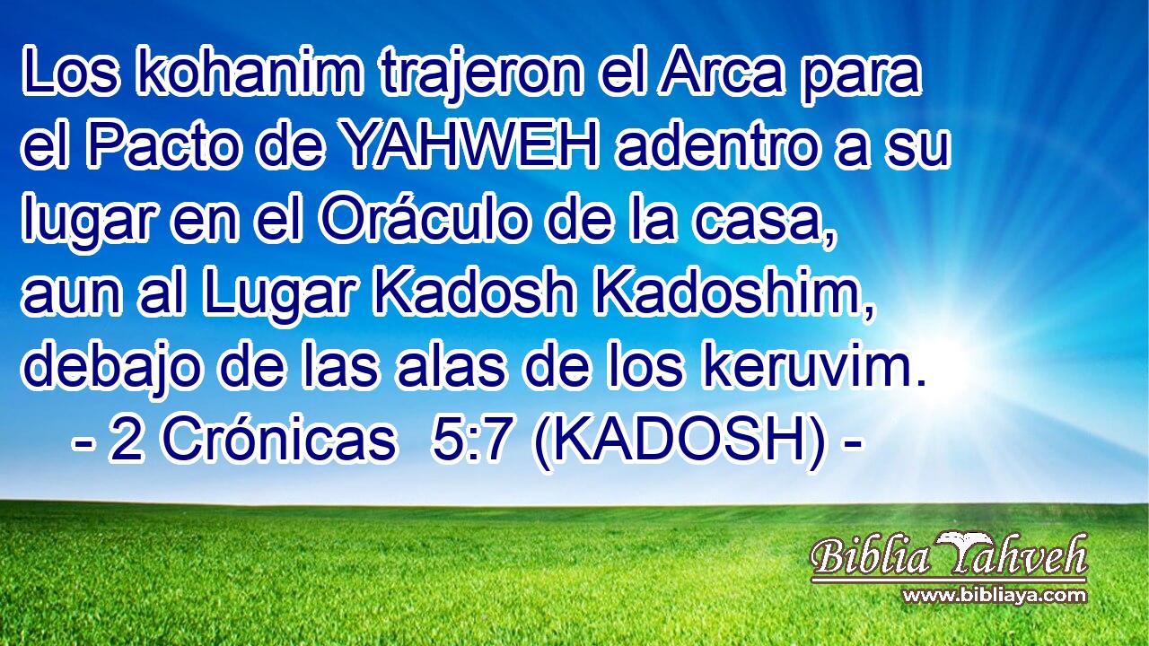 Los kohanim trajeron el Arca para el Pacto de YAHWEH adentro a su lugar en el Oráculo de la casa, aun al Lugar Kadosh Kadoshim, debajo de las alas de los keruvim. 