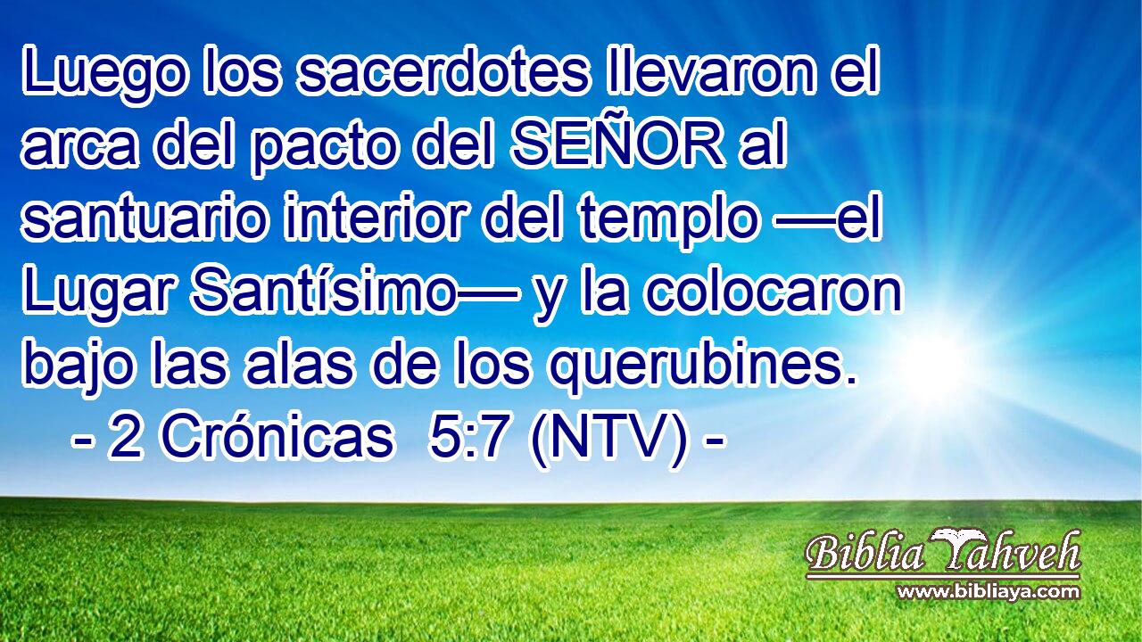 Luego los sacerdotes llevaron el arca del pacto del SEÑOR al santuario interior del templo —el Lugar Santísimo— y la colocaron bajo las alas de los querubines.