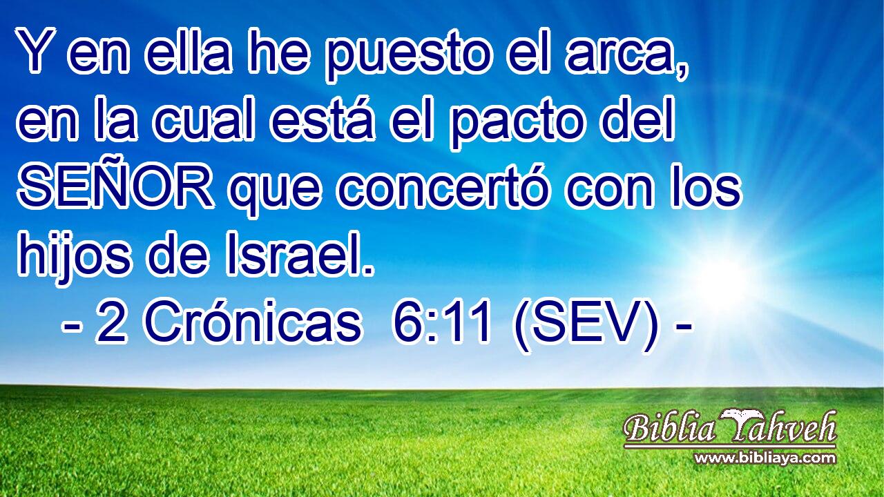 Y en ella he puesto el arca, en la cual está el pacto del SEÑOR que concertó con los hijos de Israel.