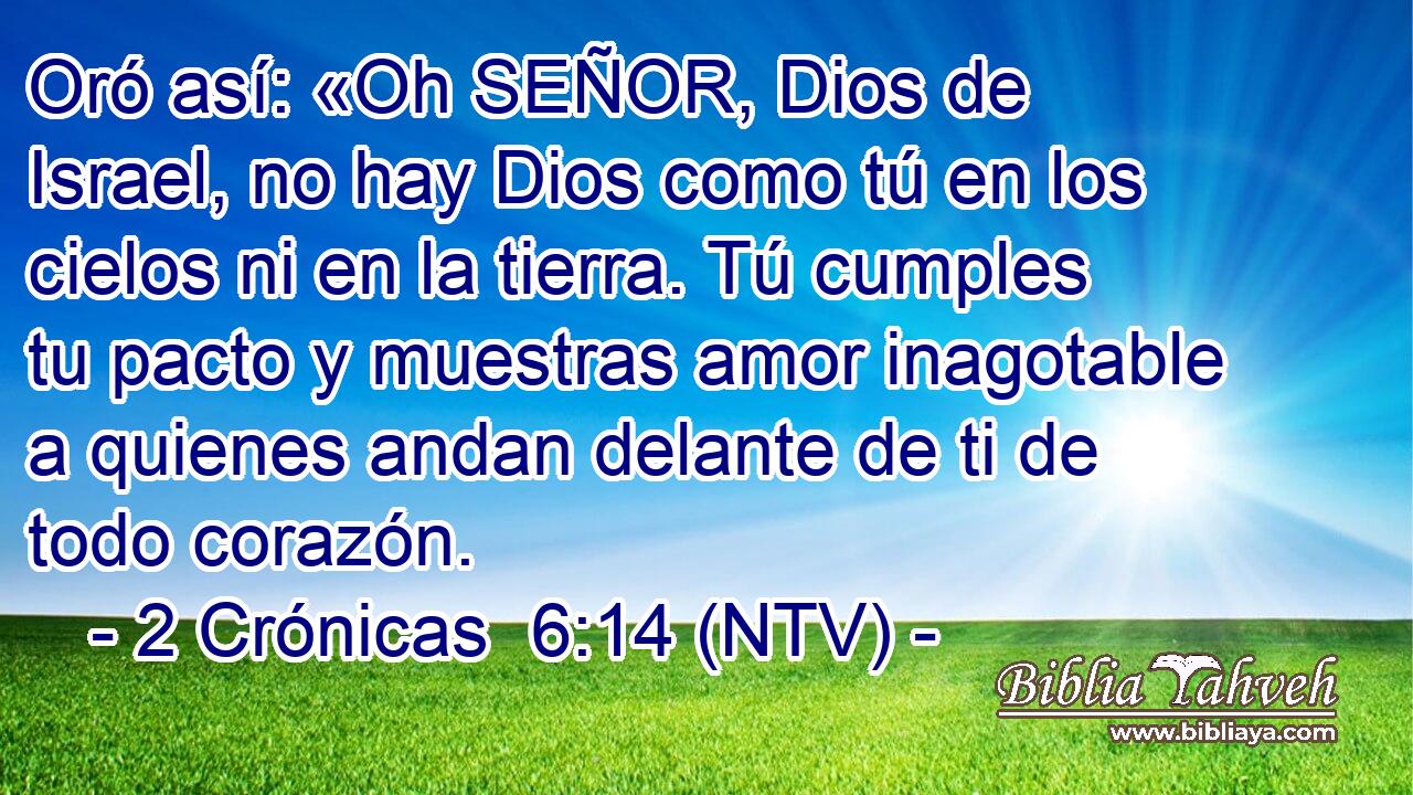 Oró así: «Oh SEÑOR, Dios de Israel, no hay Dios como tú en los cielos ni en la tierra. Tú cumples tu pacto y muestras amor inagotable a quienes andan delante de ti de todo corazón.