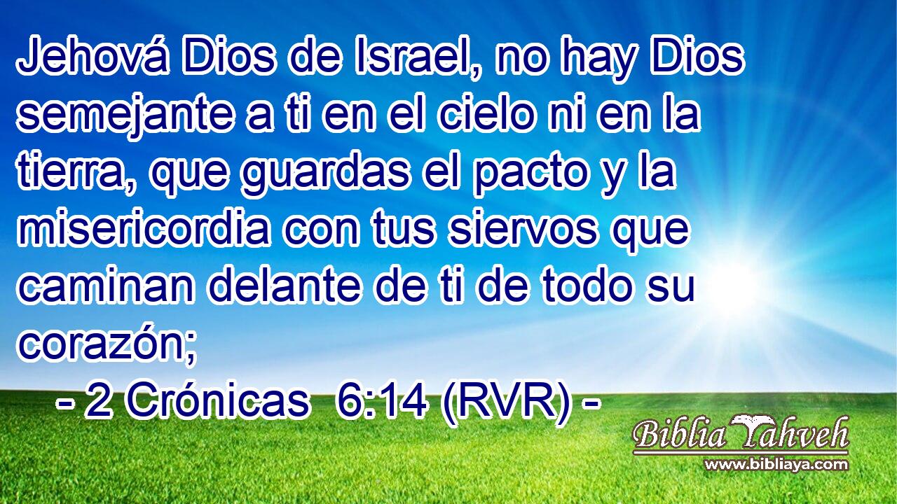 Jehová Dios de Israel, no hay Dios semejante a ti en el cielo ni en la tierra, que guardas el pacto y la misericordia con tus siervos que caminan delante de ti de todo su corazón;