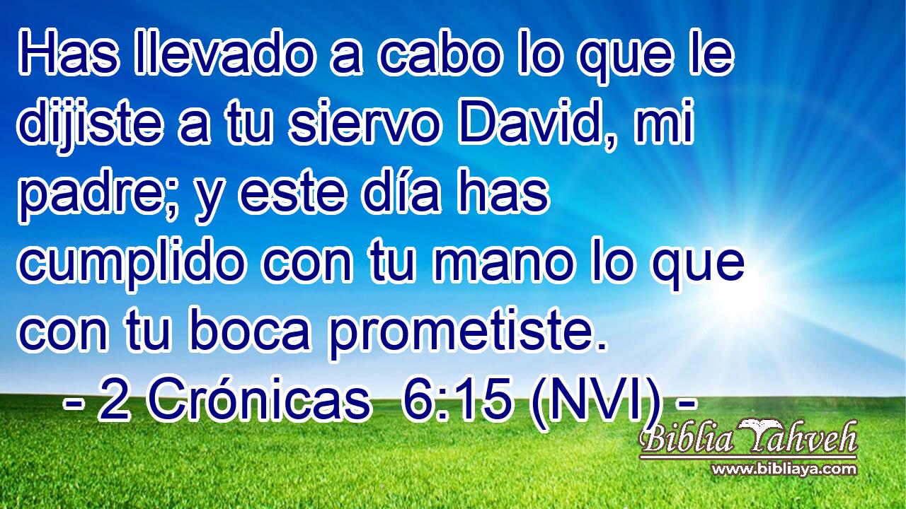 2 Crónicas 6:15 (nvi) - Has llevado a cabo lo que le dijiste a ...