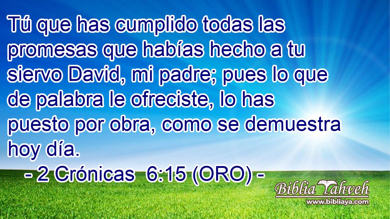  Tú que has cumplido todas las promesas que habías hecho a tu siervo David, mi padre; pues lo que de palabra le ofreciste, lo has puesto por obra, como se demuestra hoy día. 