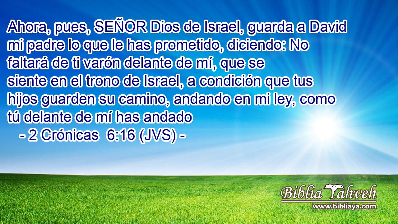 Ahora, pues, SEÑOR Dios de Israel, guarda a David mi padre lo que le has prometido, diciendo: No faltará de ti varón delante de mí, que se siente en el trono de Israel, a condición que tus hijos guarden su camino, andando en mi ley, como tú delante de mí has andado