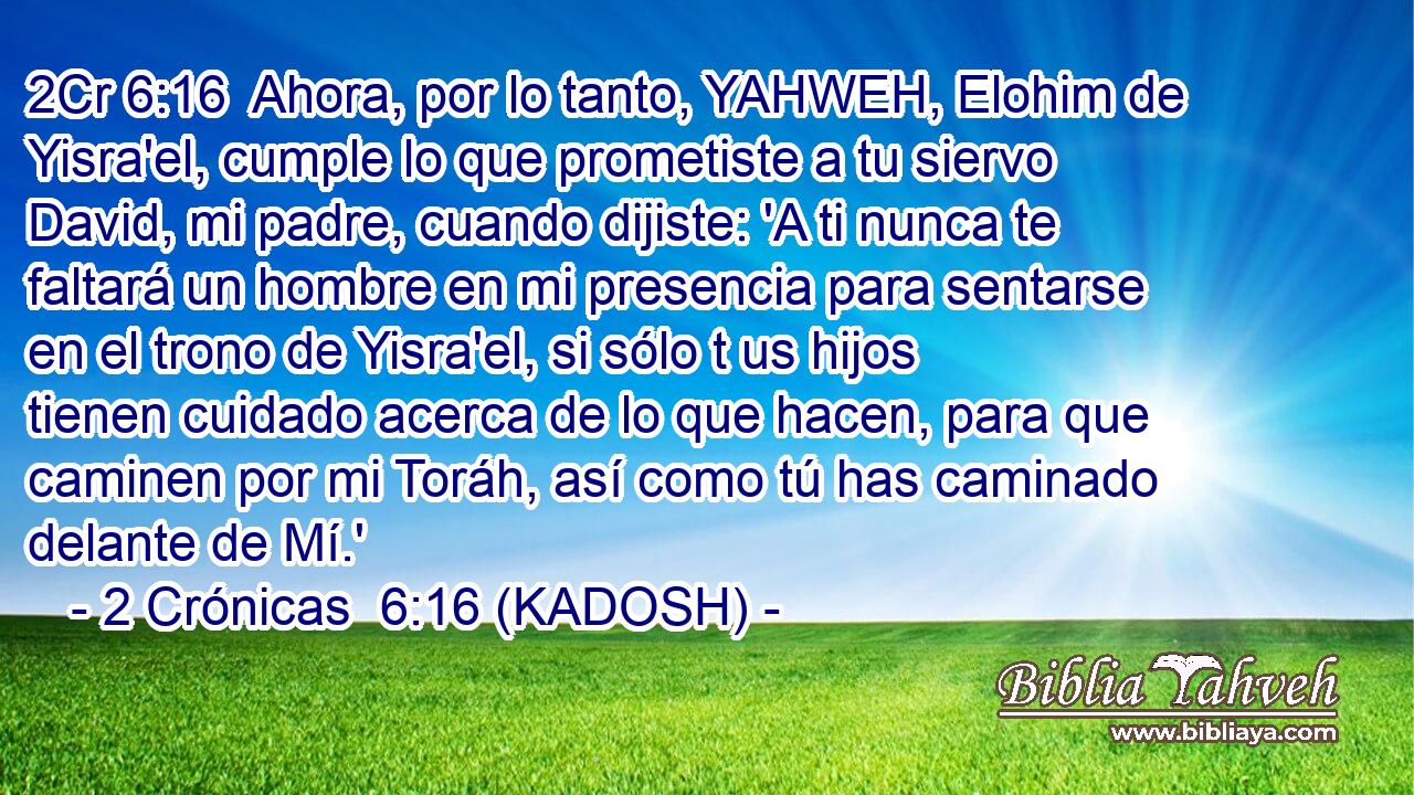  Ahora, por lo tanto, YAHWEH, Elohim de Yisra'el, cumple lo que prometiste a tu siervo David, mi padre, cuando dijiste: 'A ti nunca te faltará un hombre en mi presencia para sentarse en el trono de Yisra'el, si sólo t us hijos tienen cuidado acerca de lo que hacen, para que caminen por mi Toráh, así como tú has caminado delante de Mí.' 
