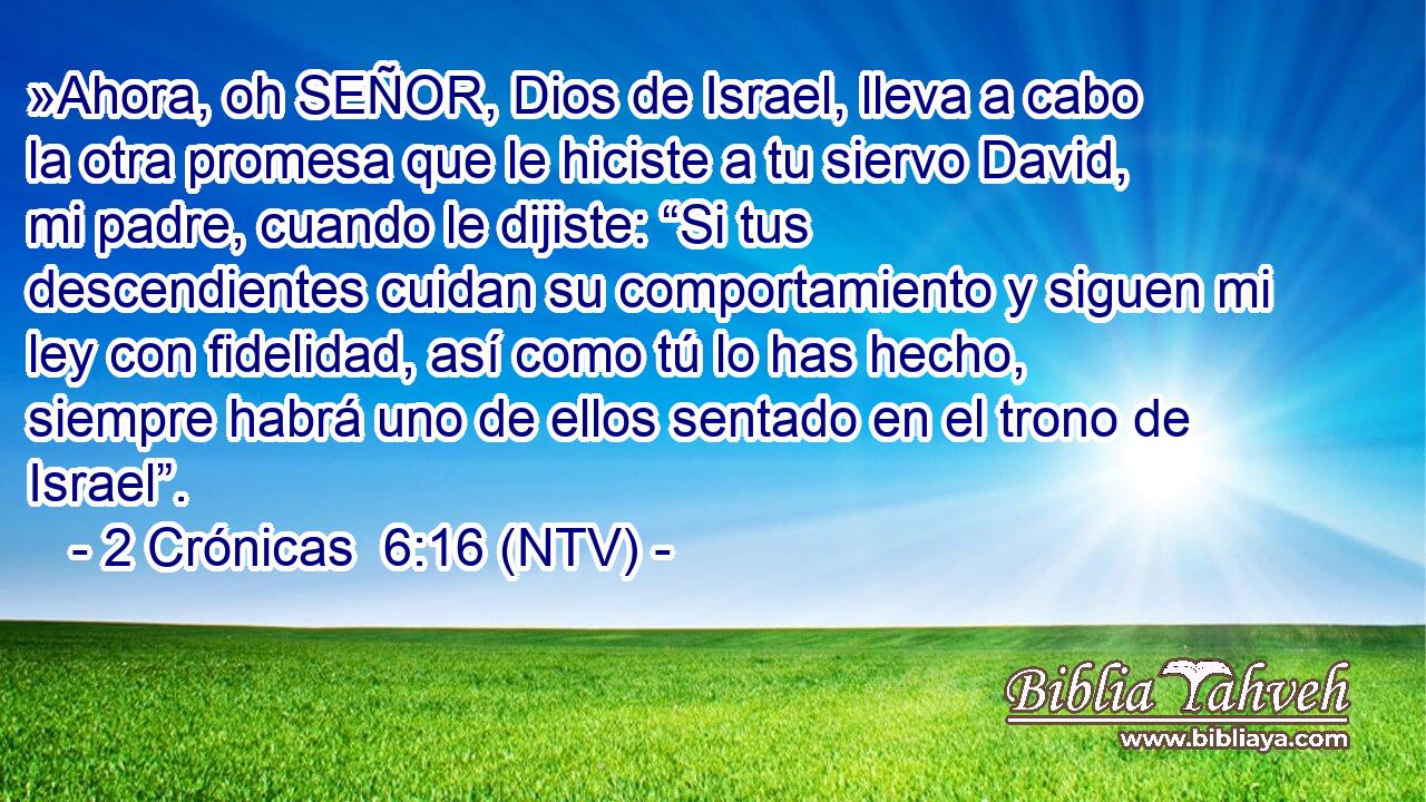 »Ahora, oh SEÑOR, Dios de Israel, lleva a cabo la otra promesa que le hiciste a tu siervo David, mi padre, cuando le dijiste: “Si tus descendientes cuidan su comportamiento y siguen mi ley con fidelidad, así como tú lo has hecho, siempre habrá uno de ellos sentado en el trono de Israel”.