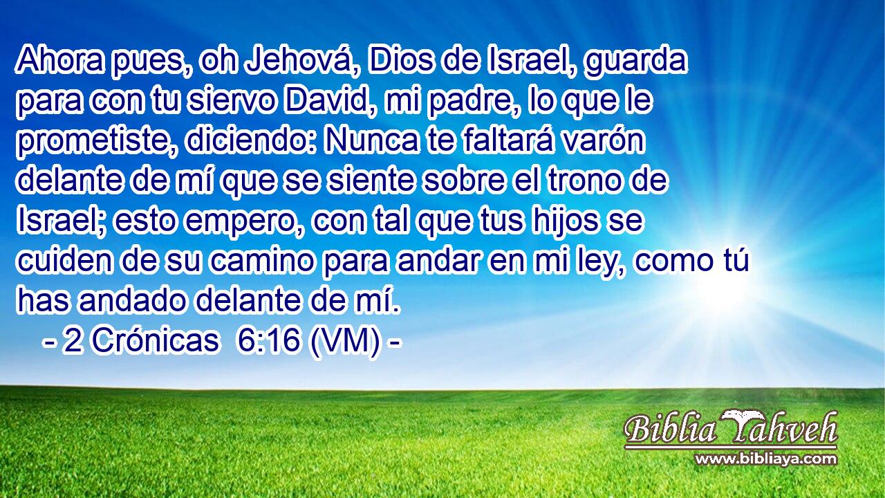  Ahora pues, oh Jehová, Dios de Israel, guarda para con tu siervo David, mi padre, lo que le prometiste, diciendo: Nunca te faltará varón delante de mí que se siente sobre el trono de Israel; esto empero, con tal que tus hijos se cuiden de su camino para andar en mi ley, como tú has andado delante de mí. 