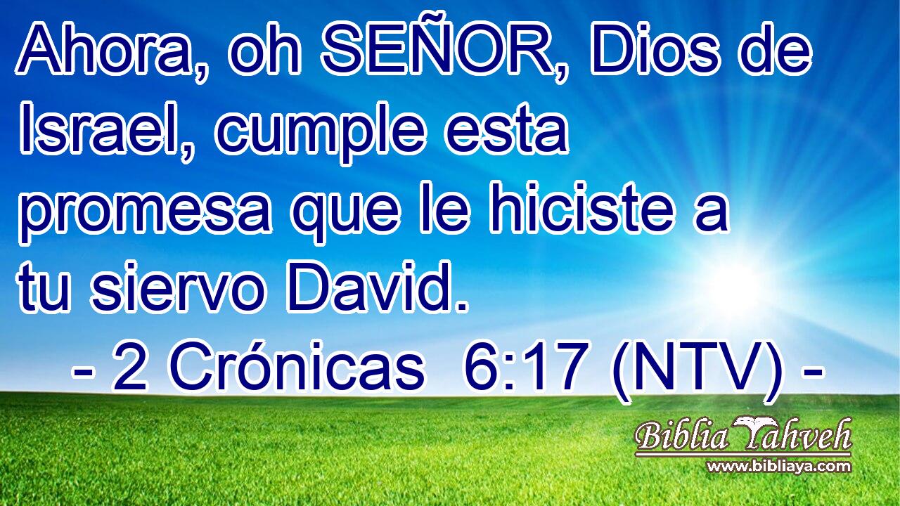 Ahora, oh SEÑOR, Dios de Israel, cumple esta promesa que le hiciste a tu siervo David.