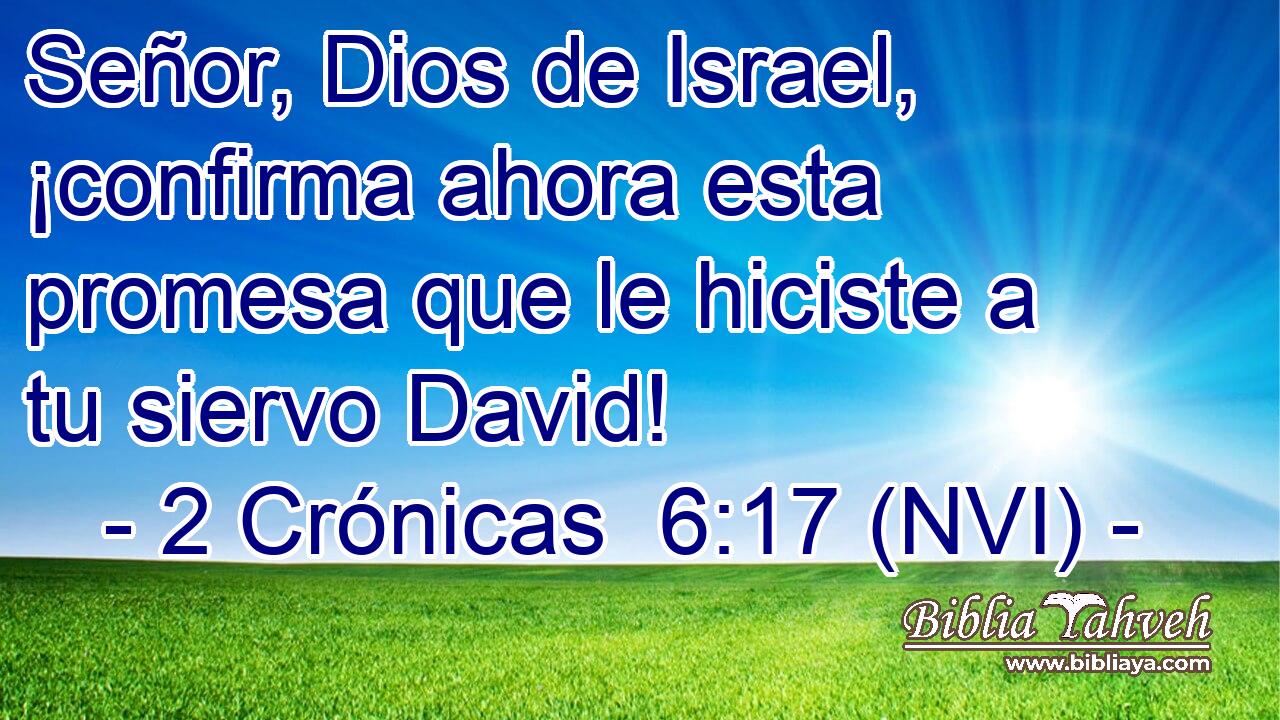  Señor, Dios de Israel, ¡confirma ahora esta promesa que le hiciste a tu siervo David! 