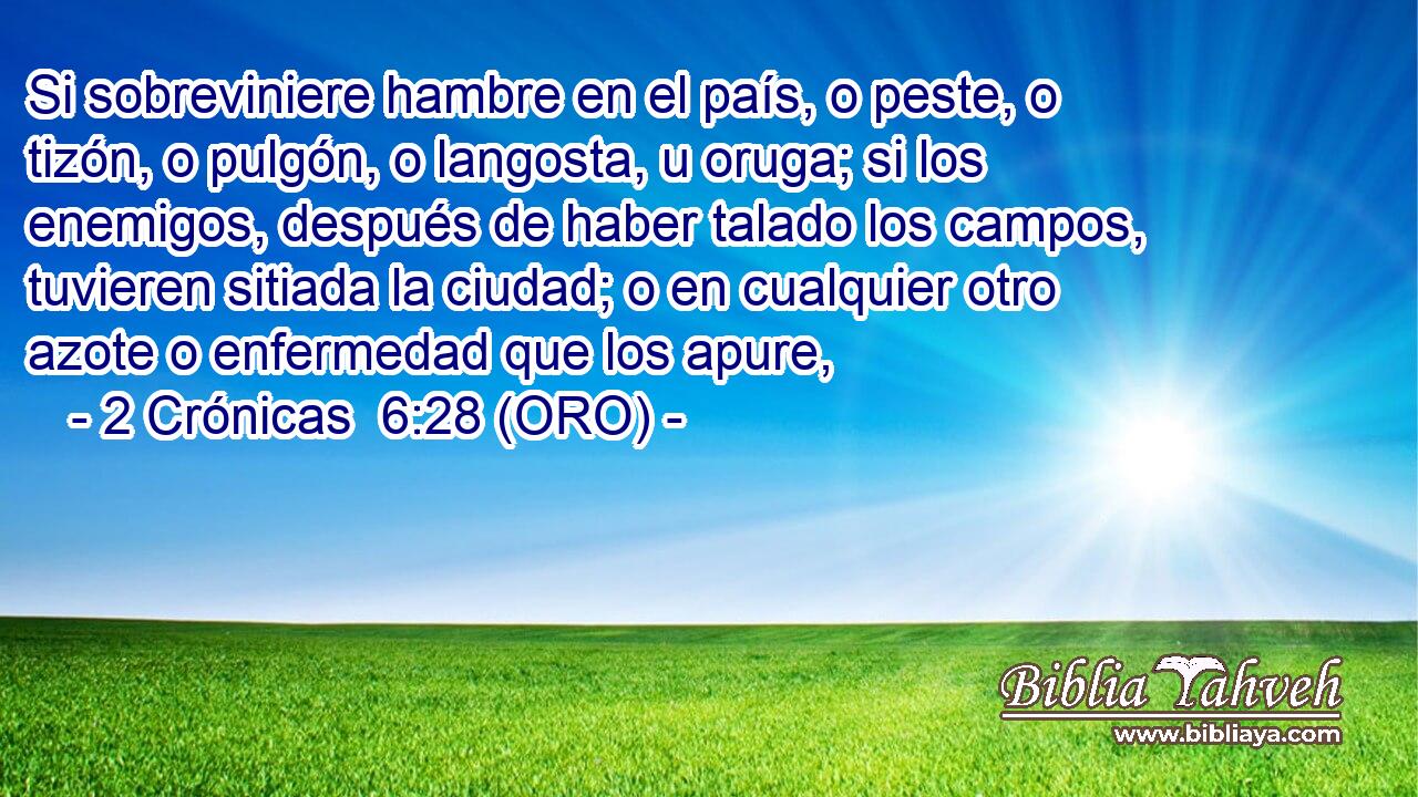  Si sobreviniere hambre en el país, o peste, o tizón, o pulgón, o langosta, u oruga; si los enemigos, después de haber talado los campos, tuvieren sitiada la ciudad; o en cualquier otro azote o enfermedad que los apure, 