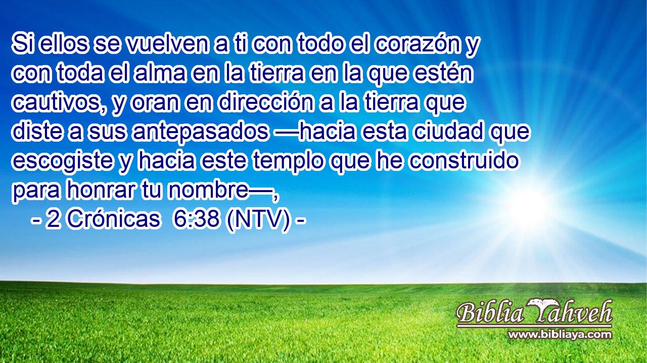 Si ellos se vuelven a ti con todo el corazón y con toda el alma en la tierra en la que estén cautivos, y oran en dirección a la tierra que diste a sus antepasados —hacia esta ciudad que escogiste y hacia este templo que he construido para honrar tu nombre—,
