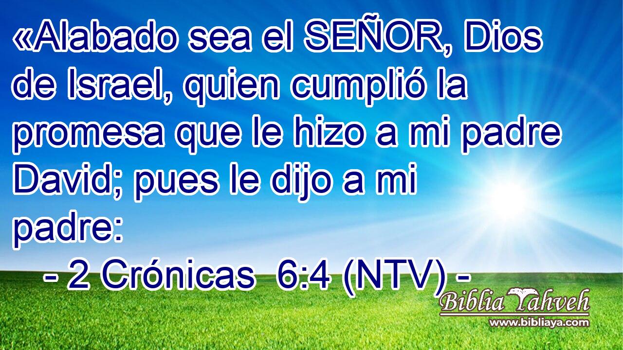 «Alabado sea el SEÑOR, Dios de Israel, quien cumplió la promesa que le hizo a mi padre David; pues le dijo a mi padre: