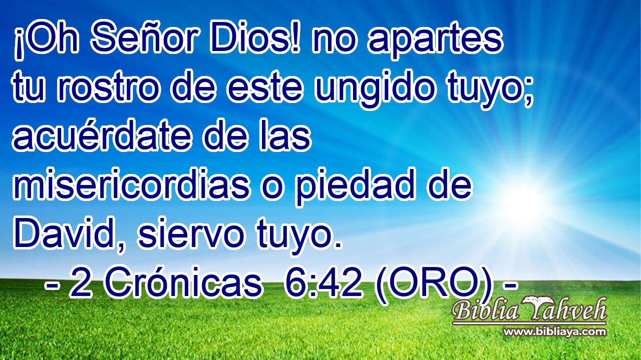  ¡Oh Señor Dios! no apartes tu rostro de este ungido tuyo; acuérdate de las misericordias o piedad de David, siervo tuyo. 